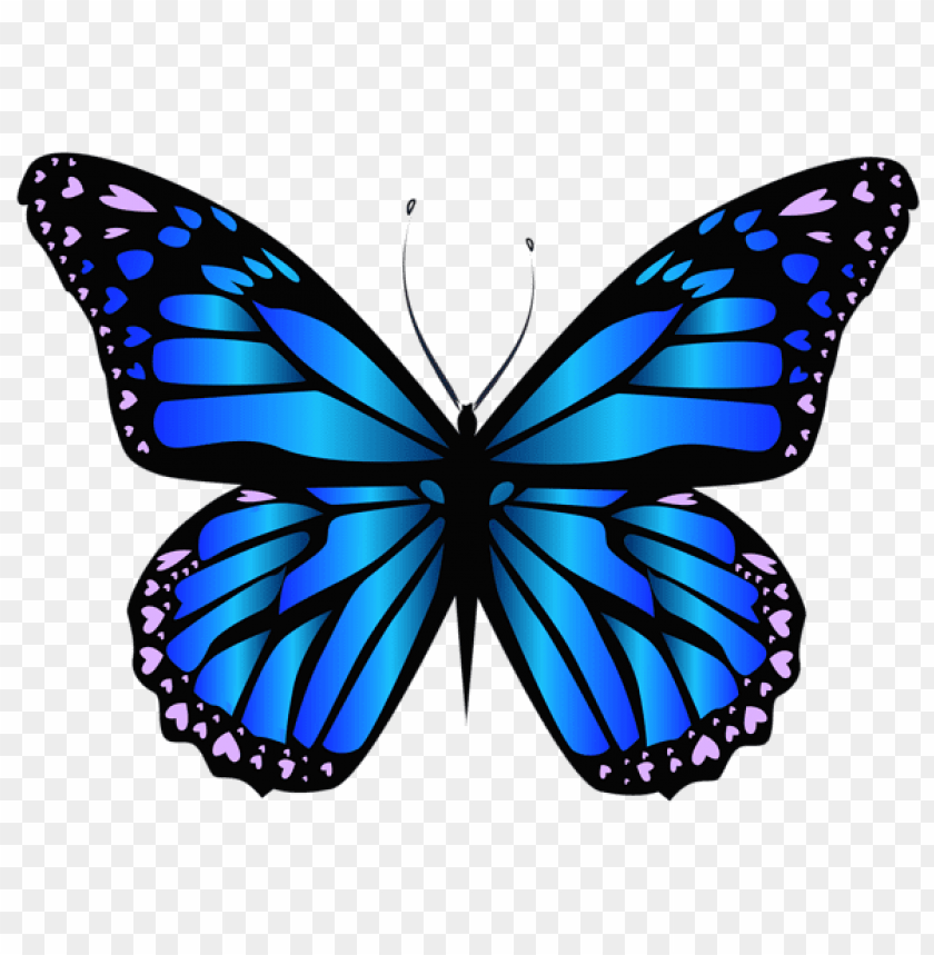 Download Blue Butterfly Png Clipar Clipart Png Photo Toppng - roblox butterfly shirt template