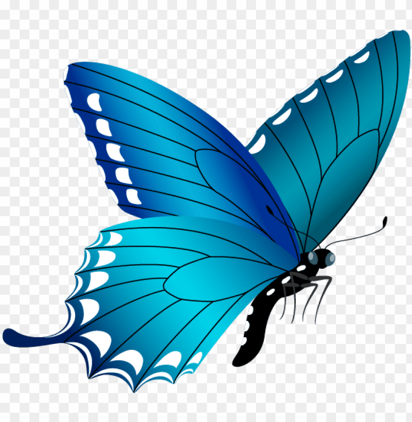 Free Download Hd Png Blue Butterfly Png Image Free Butterfly Clipart Png Image With