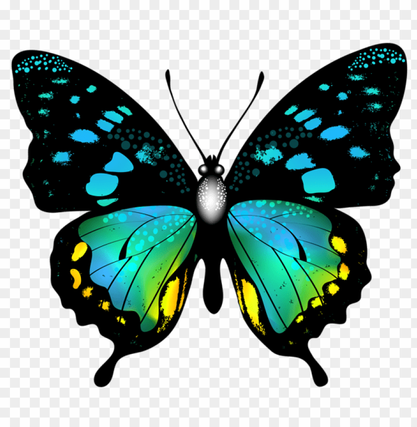 Free Free 84 Colorful Butterfly Svg Free SVG PNG EPS DXF File