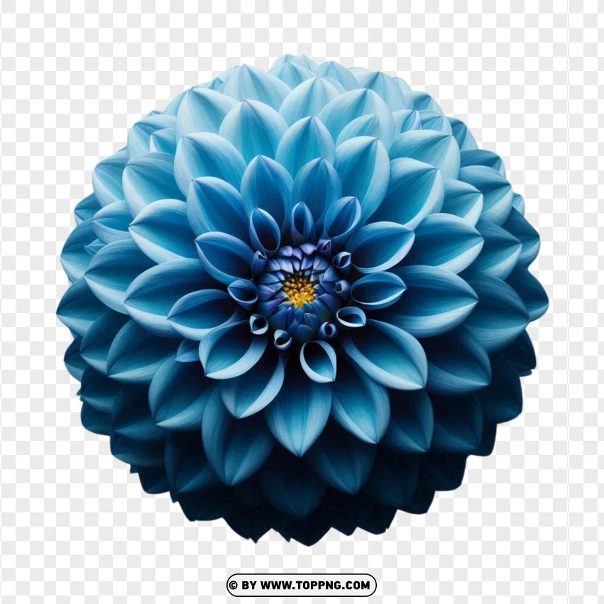 Blue Dahlia Flower Top View Isolated PNG Transparent Background