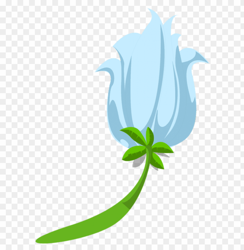 blue exotic flower