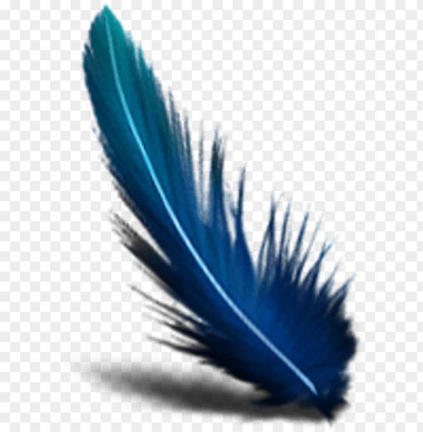 blue Feather PNG transparent image download, size: 2661x8000px