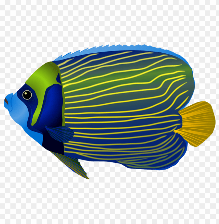 Download blue fish clipart png photo  @toppng.com