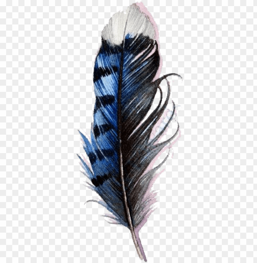 Blue Jay Feather Watercolor Png Image With Transparent Background Toppng