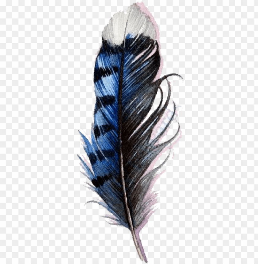 blue jay feather watercolor PNG transparent with Clear Background ID 91657