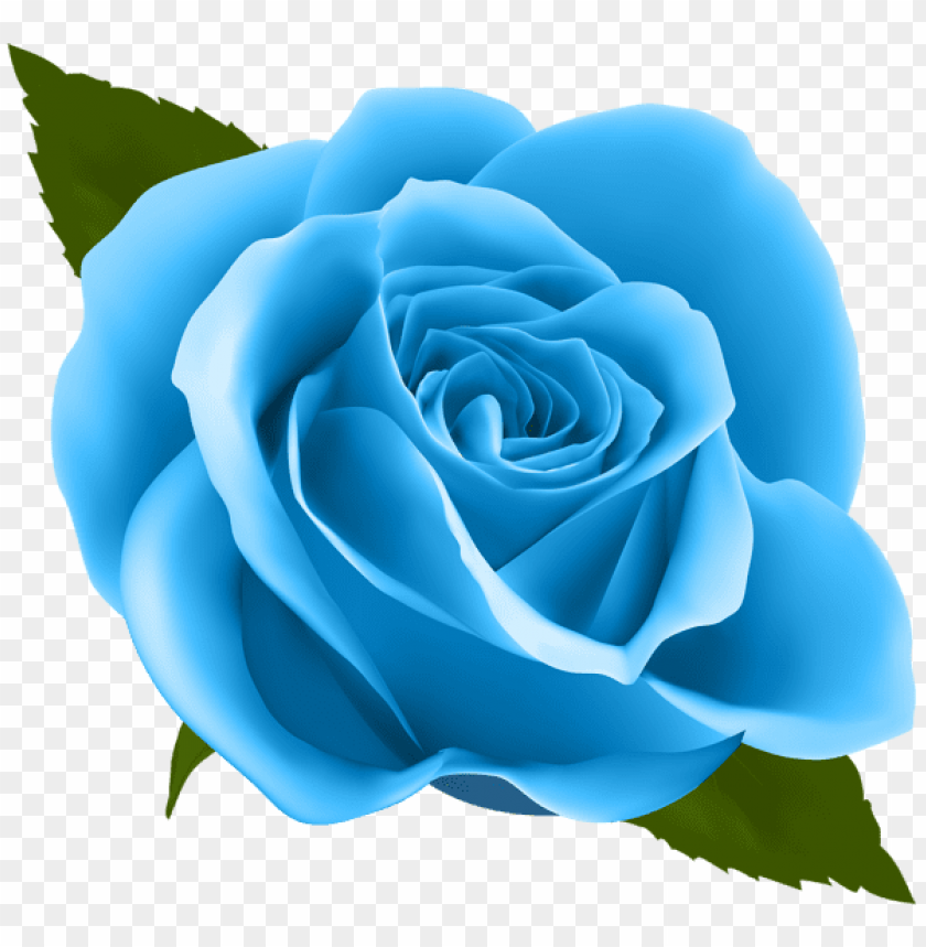 Download Blue Rose Png Images Background | TOPpng