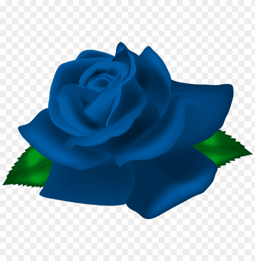 blue rose deco