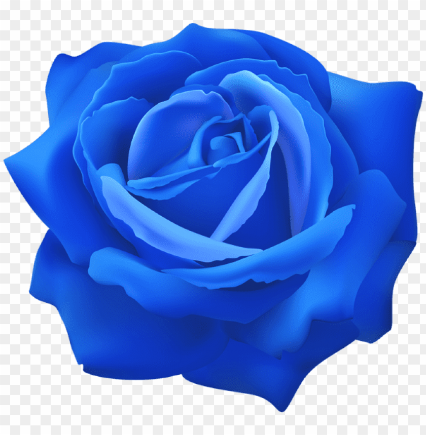 blue_rose_flower_clip_art_
