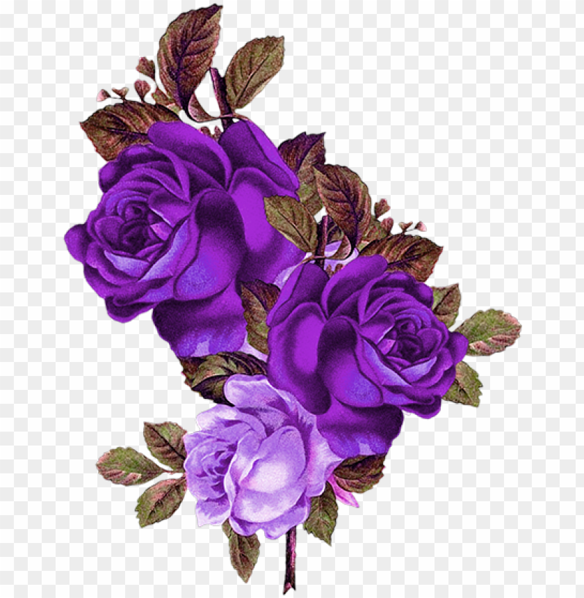 blue rose png transparent background rose PNG transparent with Clear Background ID 182560