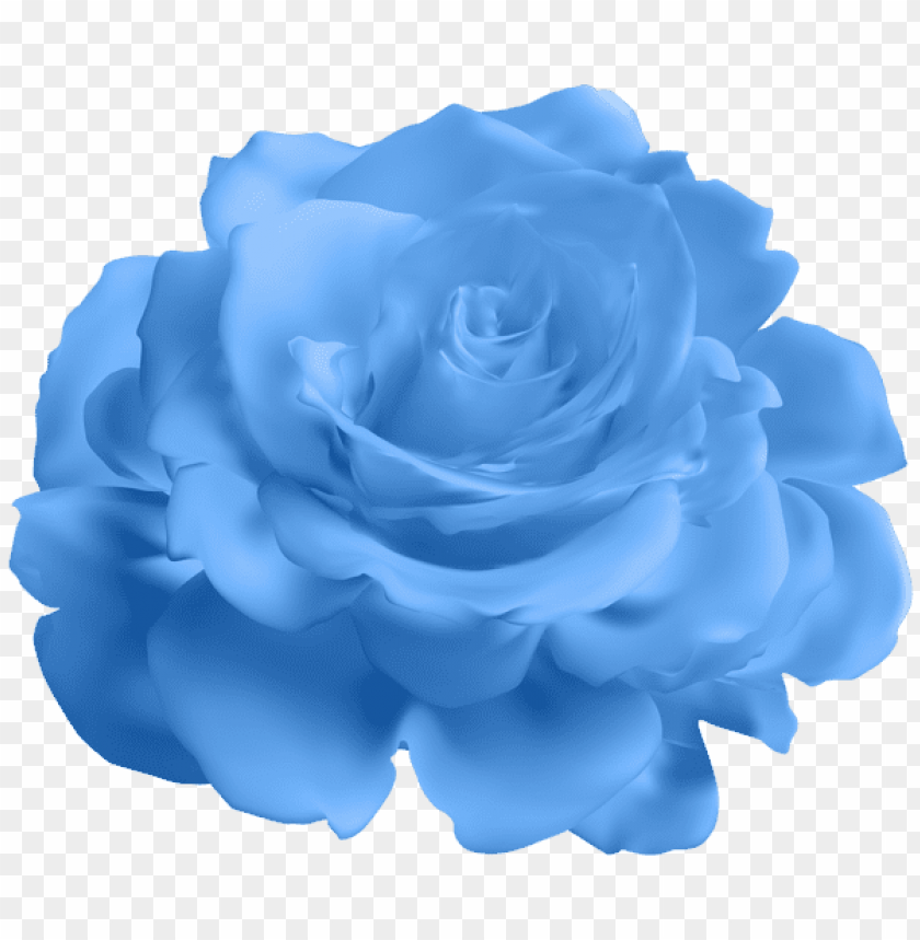 Download blue rose transparent png images background | TOPpng
