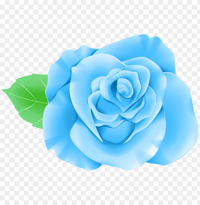 blue single rose