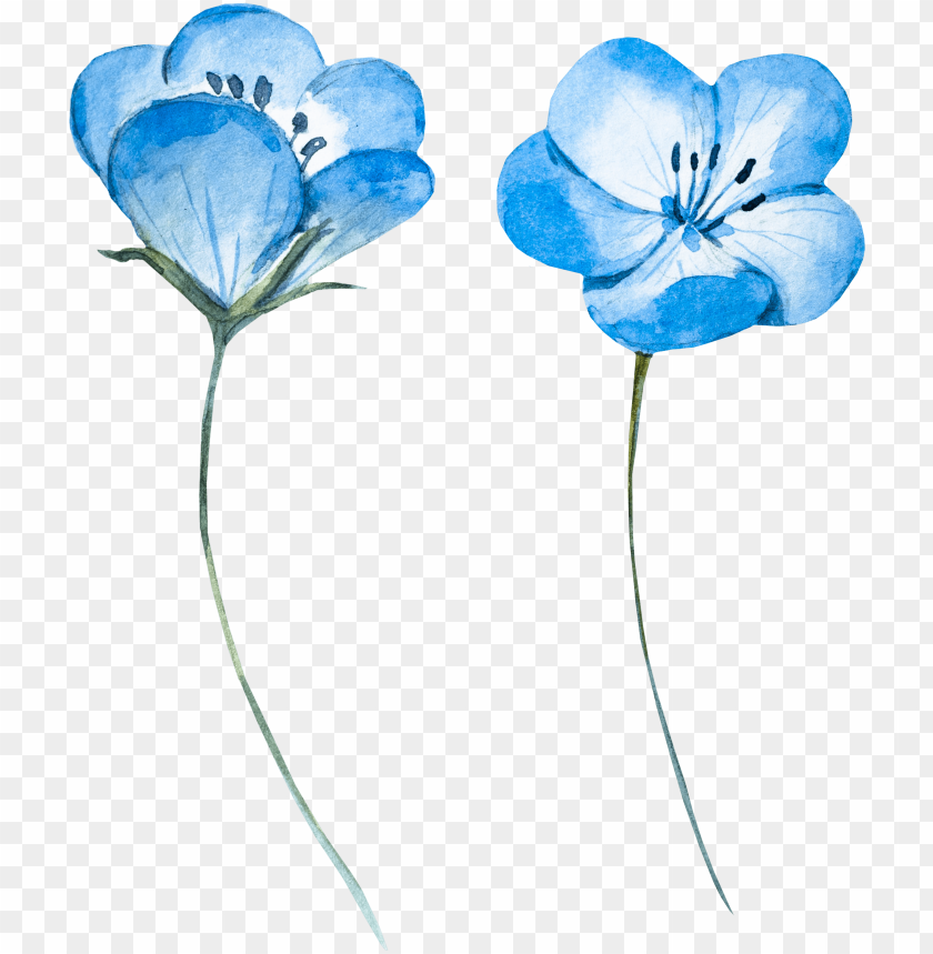 Blue Watercolor Flower Png - Baby Blue Flowers Ico PNG Transparent With  Clear Background ID 166243