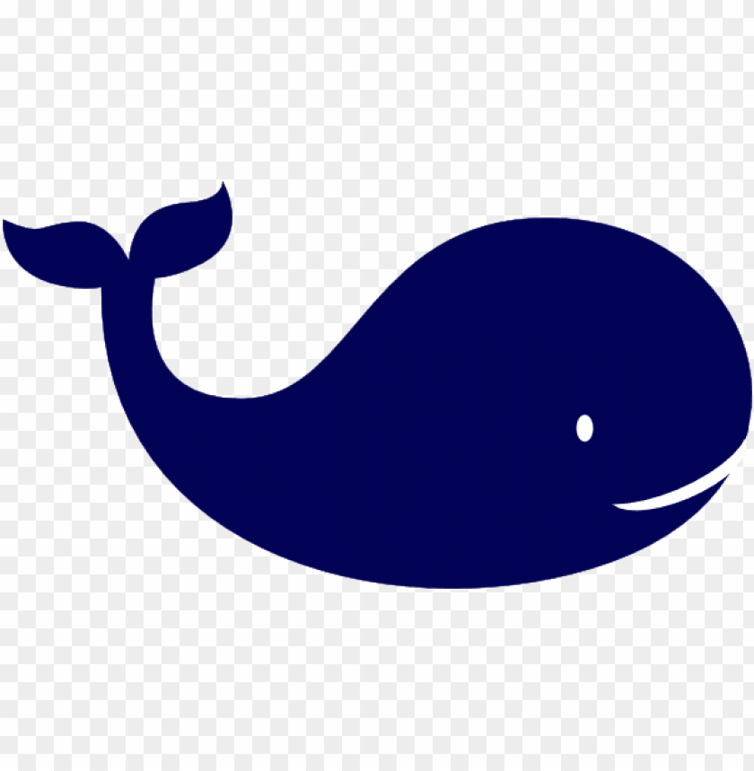 animals, sea animals, blue whale, 