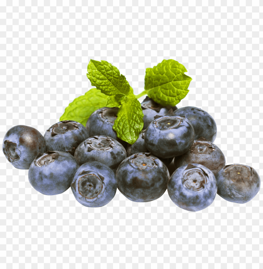 fruits, blueberries, berry, blueberry