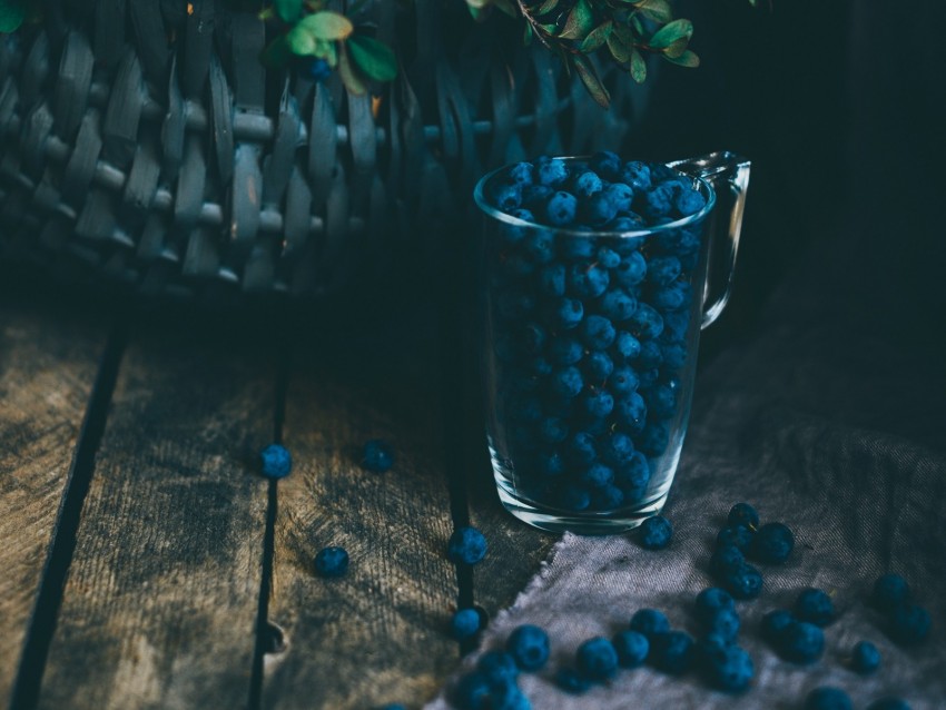 blueberries, berries, glass, basket, bush
