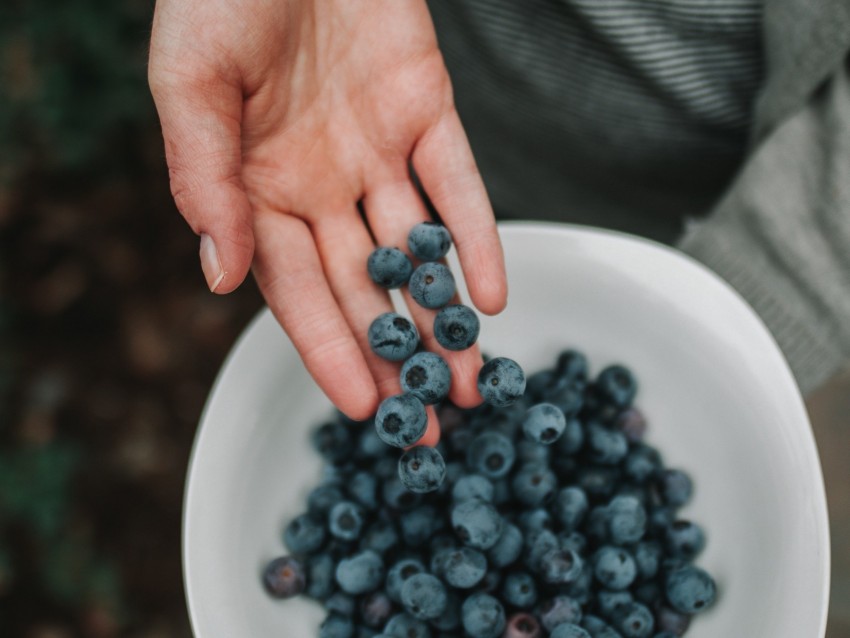blueberries, berries, hand, bowl