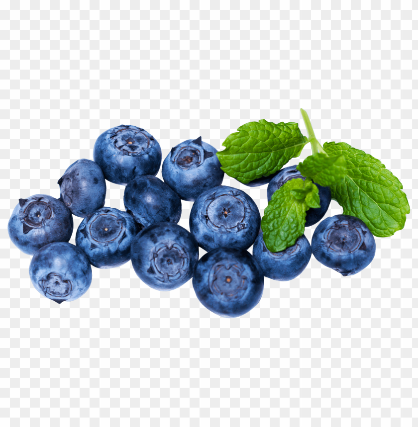 blueberry PNG images with transparent backgrounds - Image ID 12344