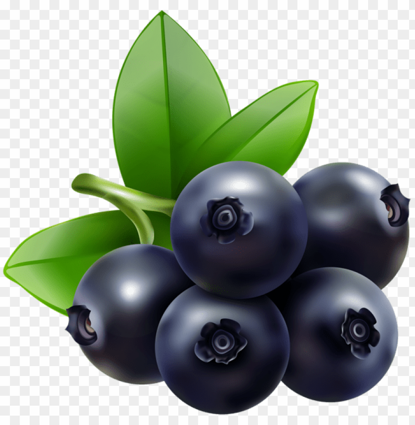blueberry transparent png - Free PNG Images ID 49935