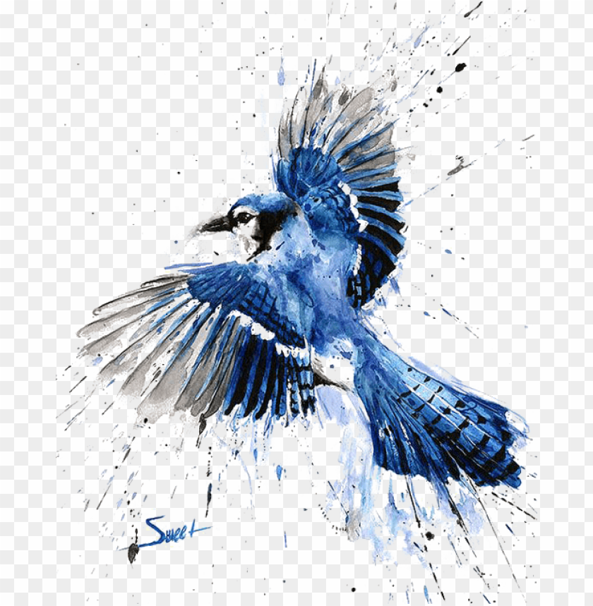 Bluejay Drawing Watercolor Blue Jay Watercolor Painti Png Image With Transparent Background Toppng
