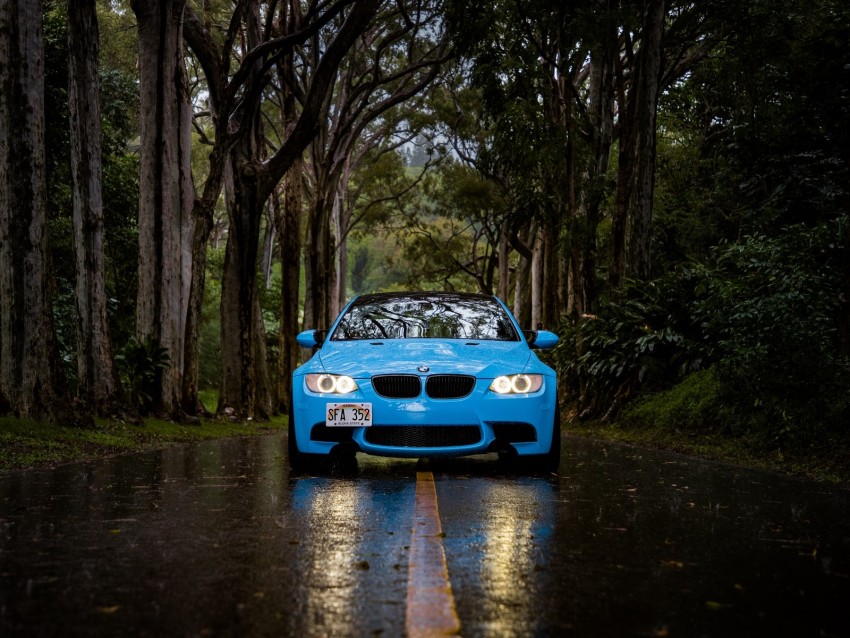 bmw 5, bmw, front view, car, blue, forest, road