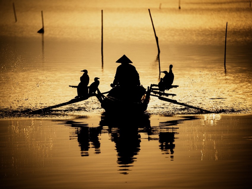 boat, silhouette, dark, river, oars, birds, reflection