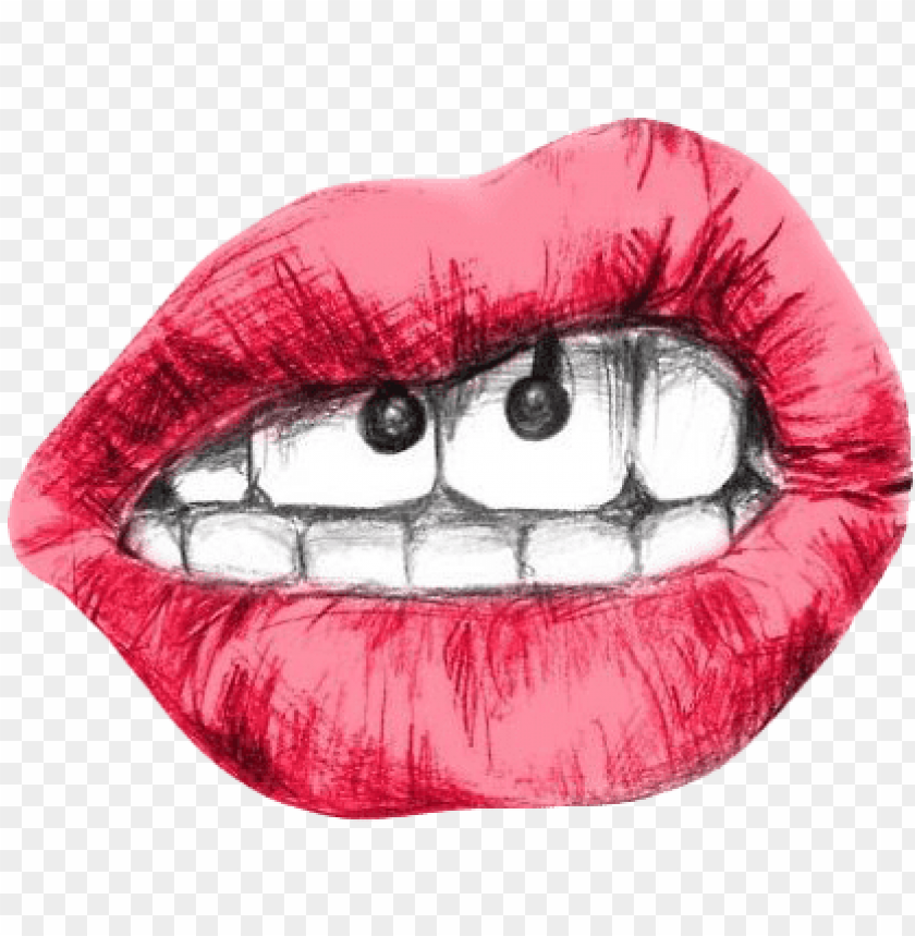 nose piercing, piercing, red lips, gold lips, lips, lips vector