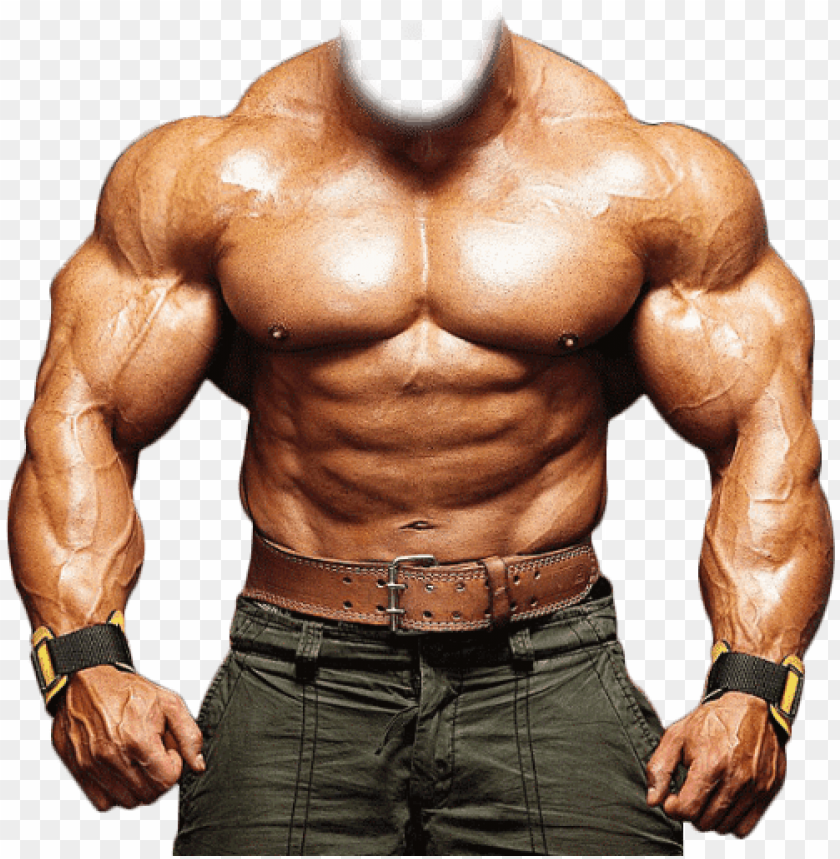 Download bodybuilder template png images background | TOPpng