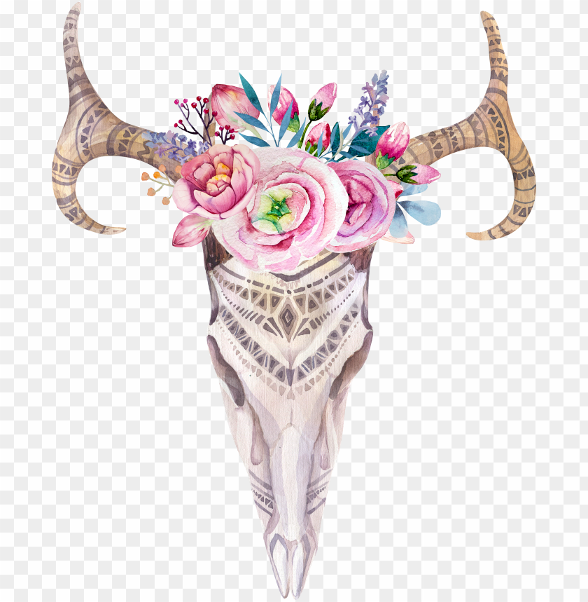 deer skull, watercolor circle, bull skull, pirate skull, skull tattoo, black skull
