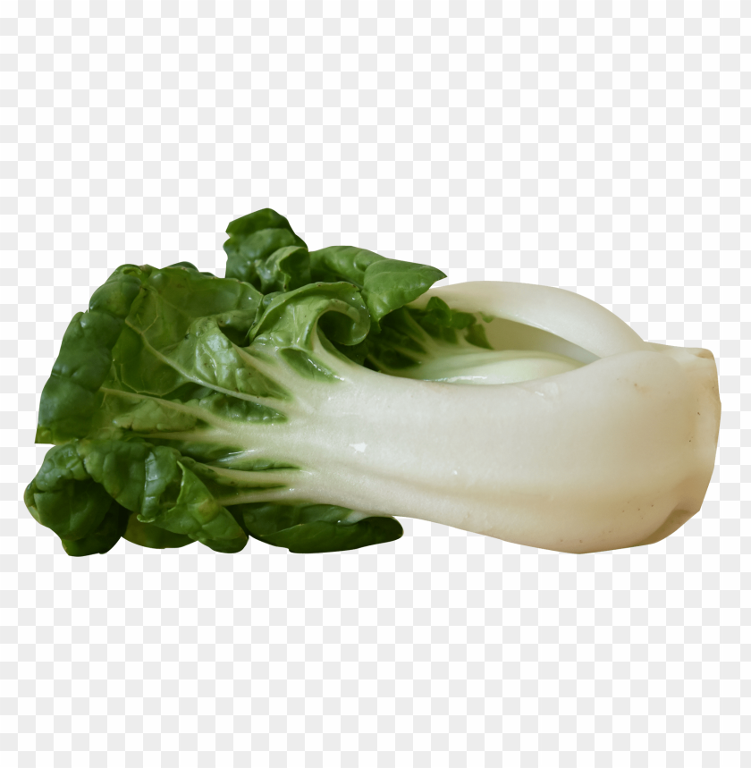 Transparent bok choy PNG background - Image ID 6740