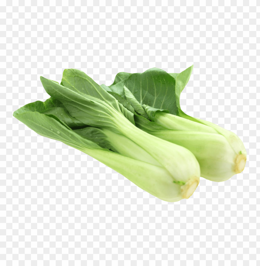 Transparent bok choy PNG background - Image ID 6745