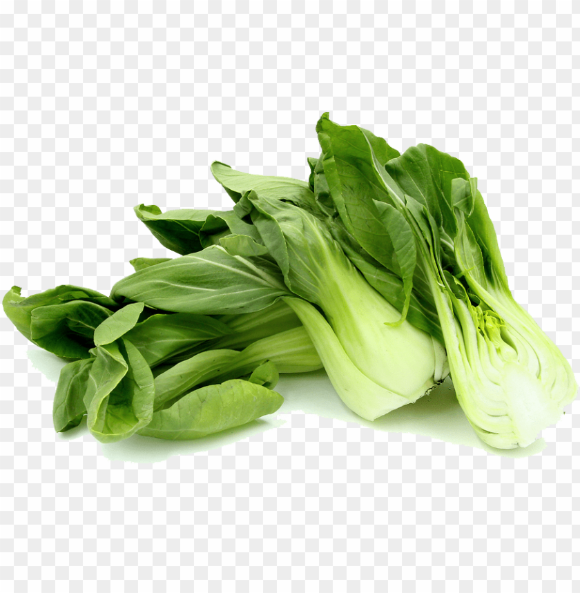 vegetables, cabbage, bok choy, pak choi,الخضروات ,الملفوف,بوك تشوي 