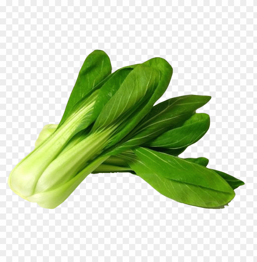 Transparent bok choy png pic PNG background - Image ID 6748
