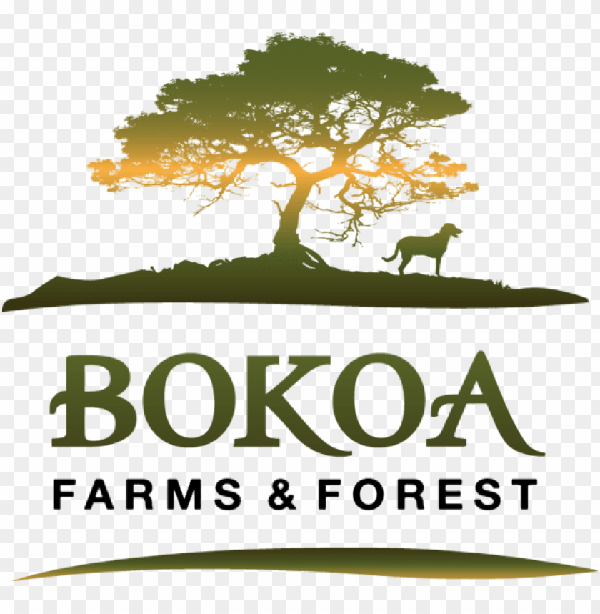 free PNG bokoa farms is a veteran-owned, family farm and forest - bokoa farms and forest PNG image with transparent background PNG images transparent