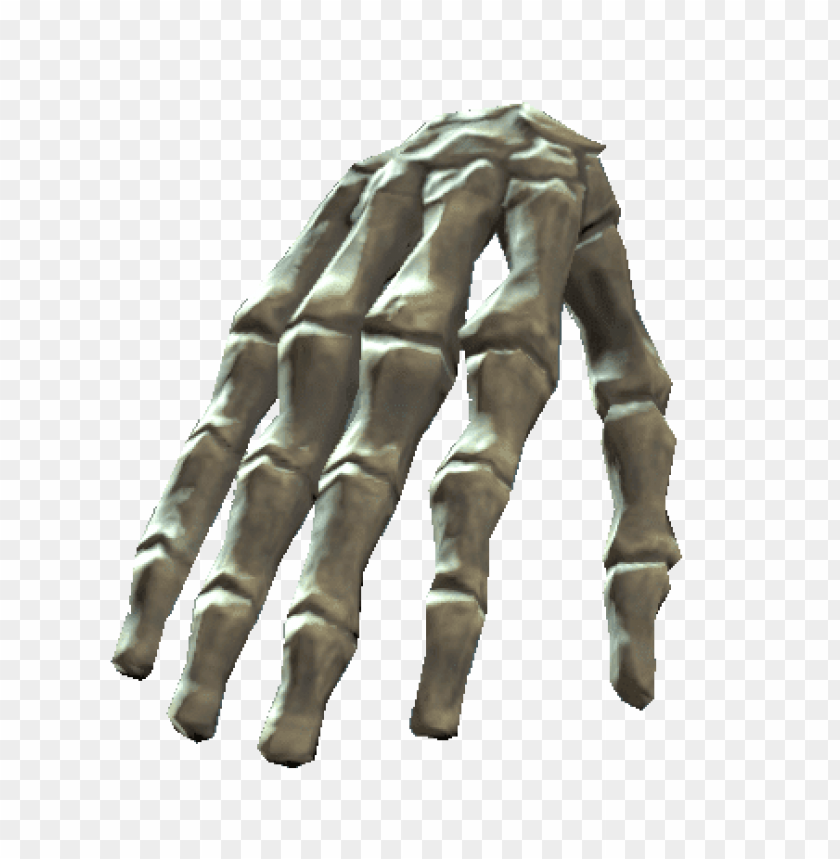 people, bones of the body, bones of the right hand, 