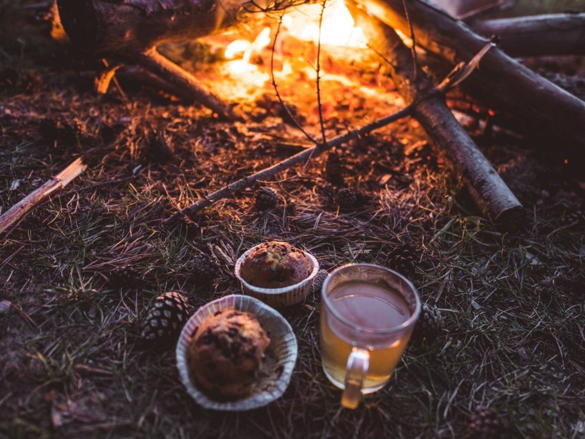 bonfire, cup, cupcakes, tea, nature
