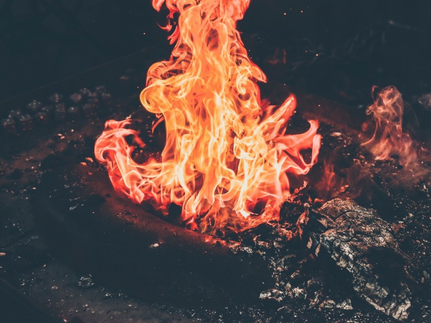 bonfire, fire, ash, embers, flame