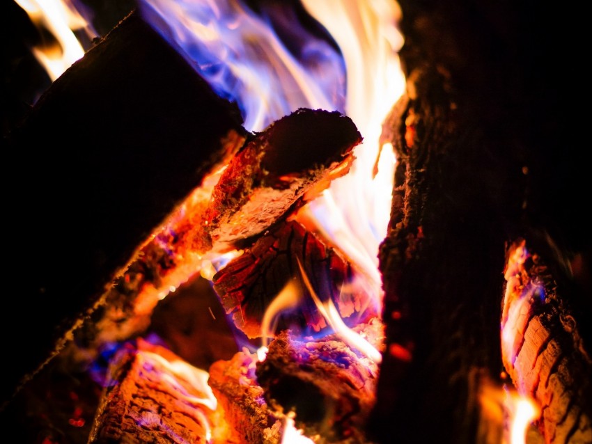 bonfire, fire, firewood, ash, flame