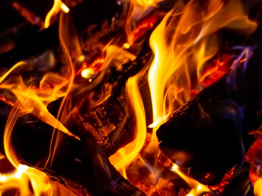 bonfire, fire, firewood, blazing
