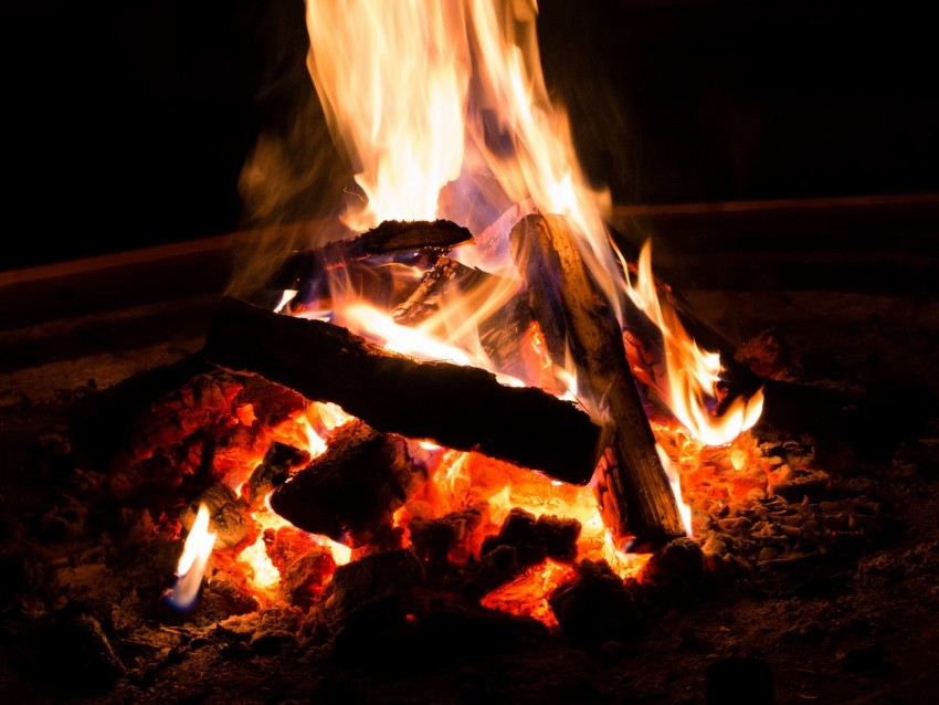 bonfire, fire, firewood, flame, coal