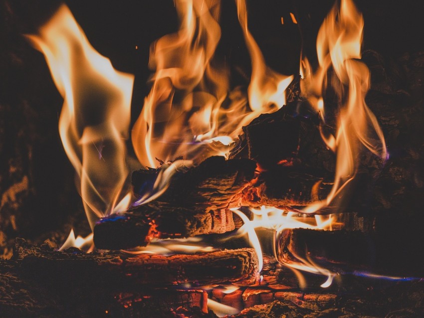 bonfire, fire, flame, firewood, ash, coal, camping