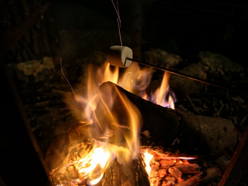 bonfire, marshmallow, camping, fire, night