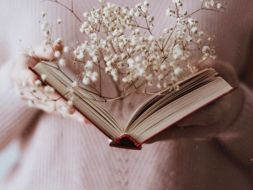 book, branch, flowers, white, open