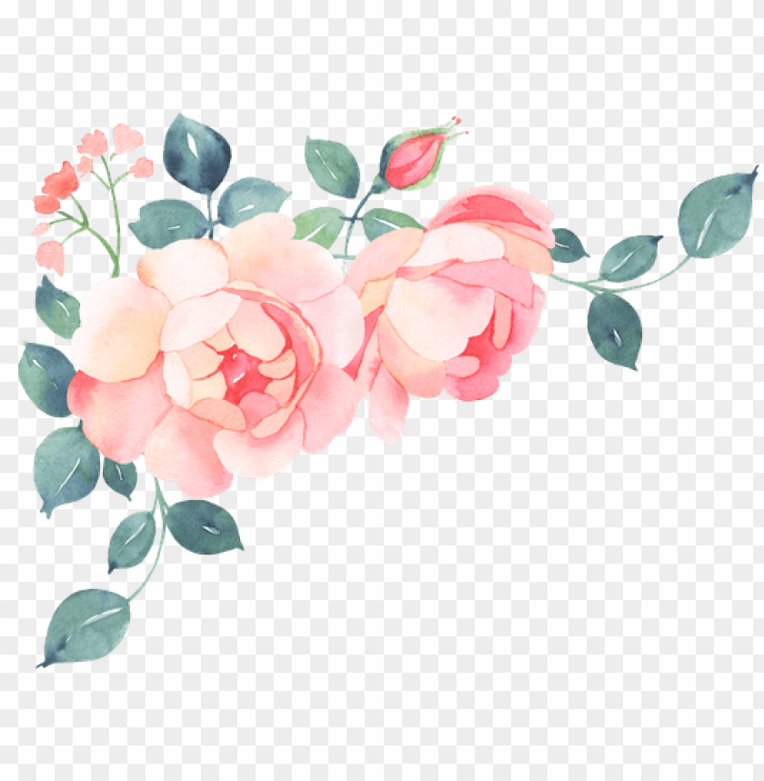 illustration, leaves, rose, petals, love, plants, red rose