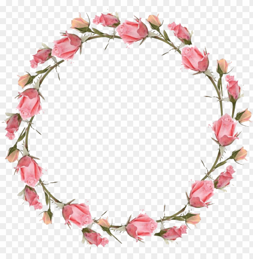 floral, wallpaper, tree, texture, background, pink flowers, flower frame