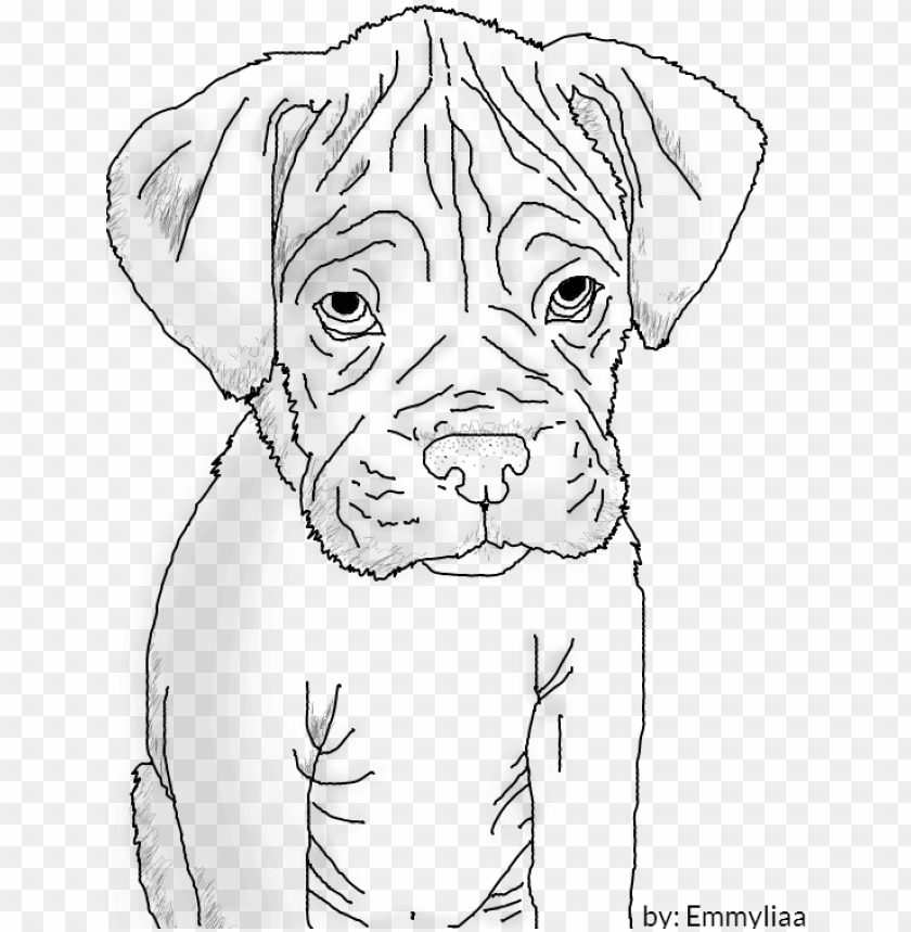 Boxer Puppy Lineart By Emmyliaa On Deviantart Boxer Dog Drawing Easy Png Image With Transparent Background Toppng