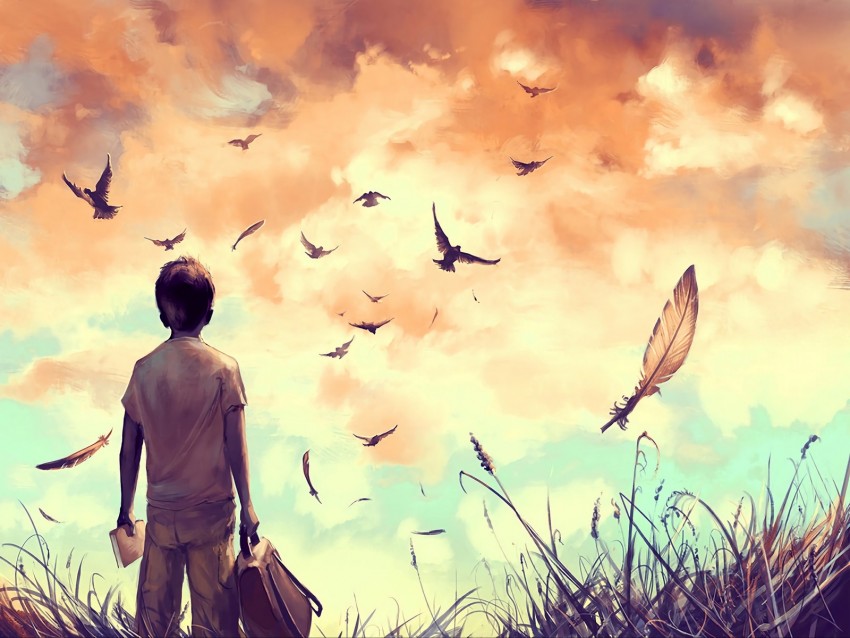 boy, birds, art, book, backpack, feathers, freedom