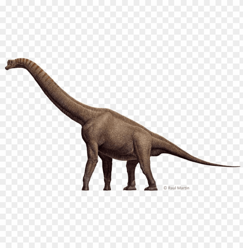 dinossauro dos desenhos animados png fundo transparente 15720576 PNG