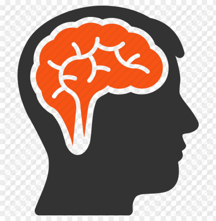 Download brain thinking png - Free PNG Images | TOPpng