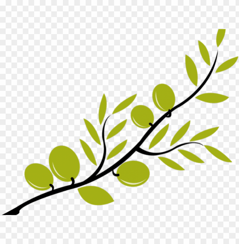 branch clipart olive branch - olive clipart PNG image with transparent background@toppng.com