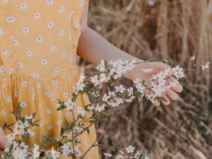 branches, flowers, hand, basket, dress